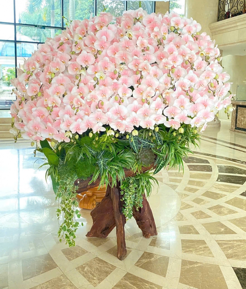 Lan Hồ Điệp Vạn Sắc Hương - LHD045