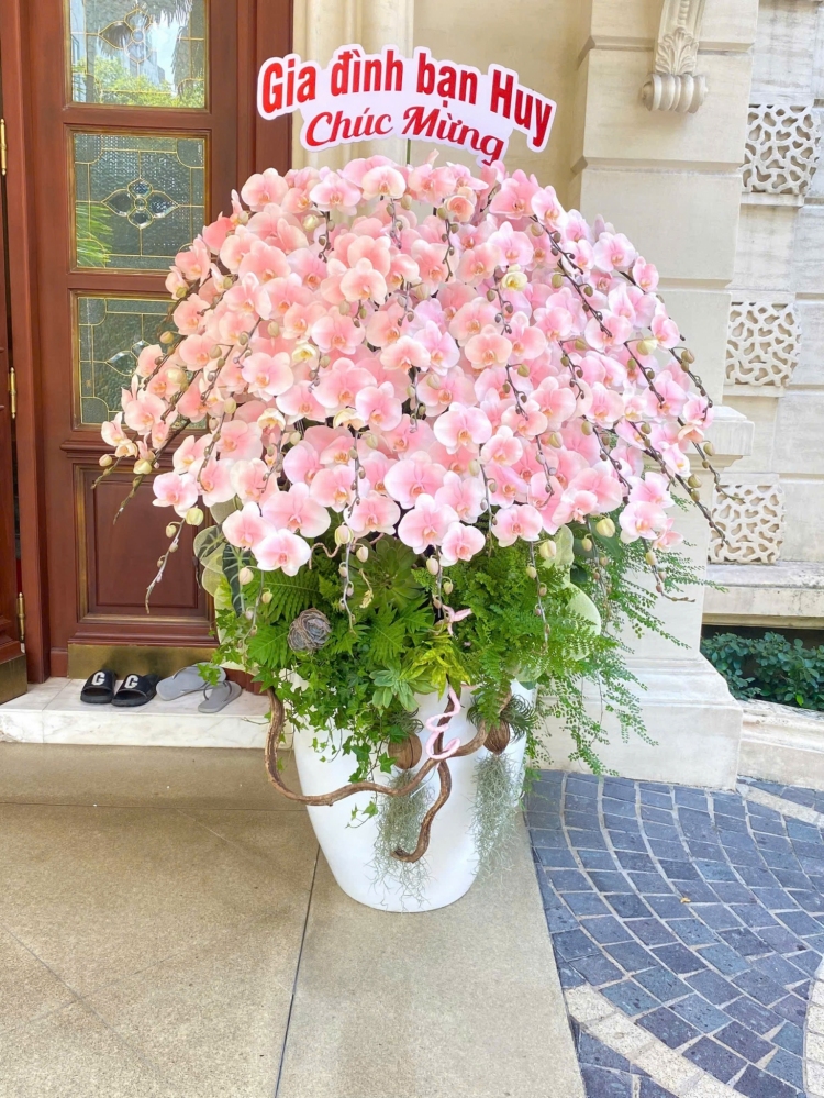 Lan Hồ Điệp Ngọc Sắc - LHD033