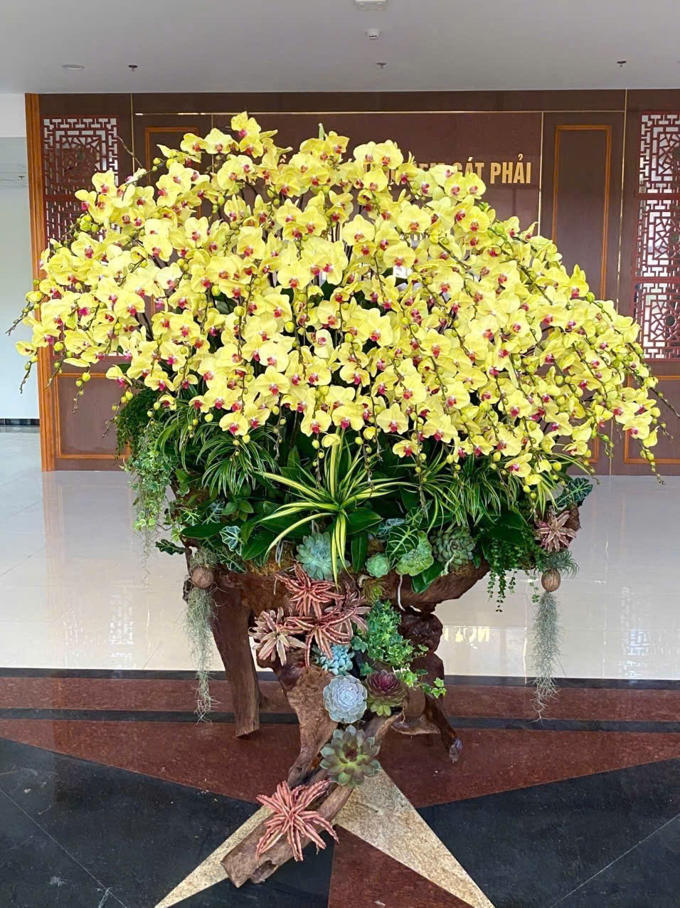 Lan Hồ Điệp Sắc Vân - LHD040