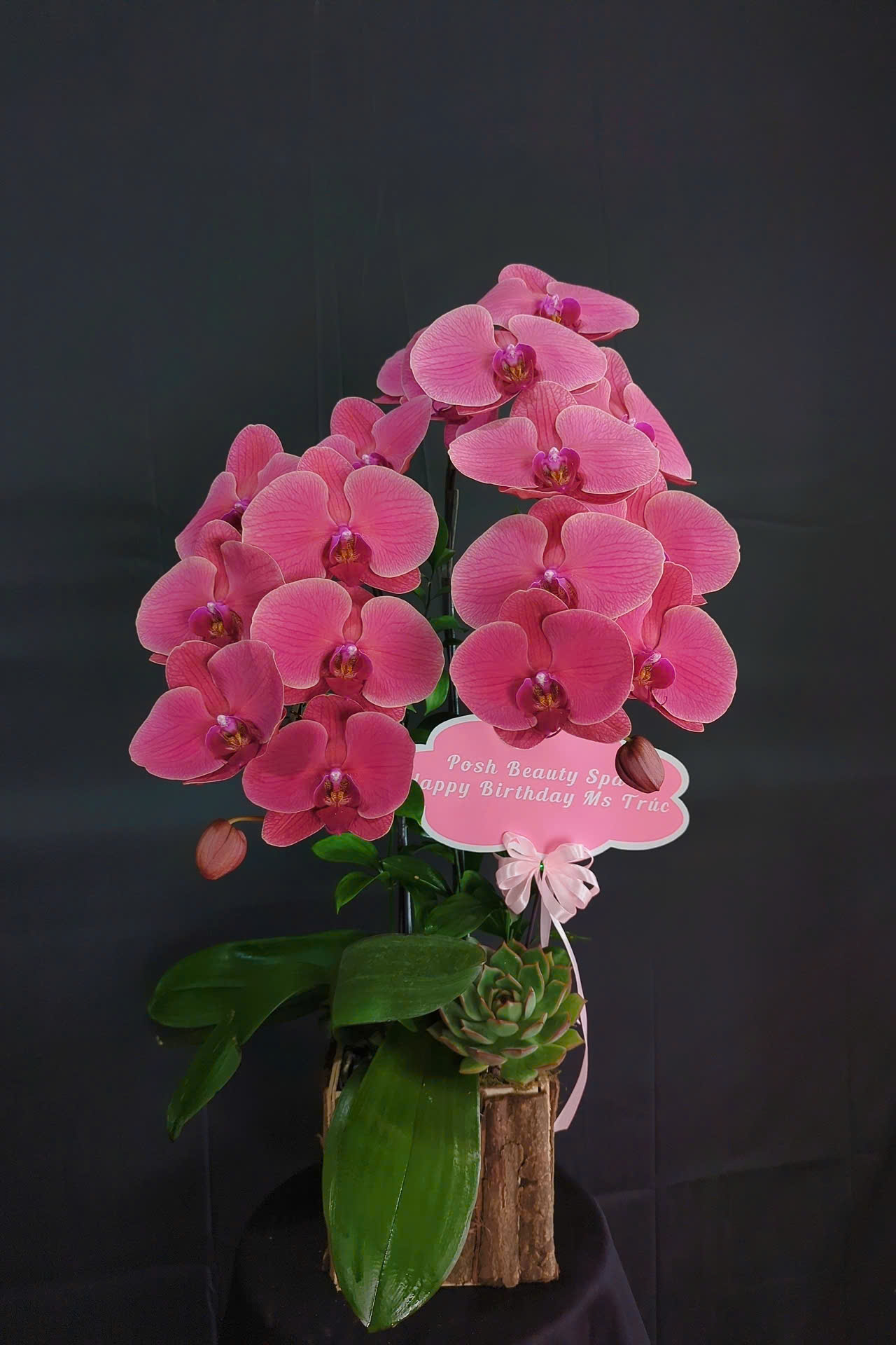 Hộp lan hồ điệp đỏ
