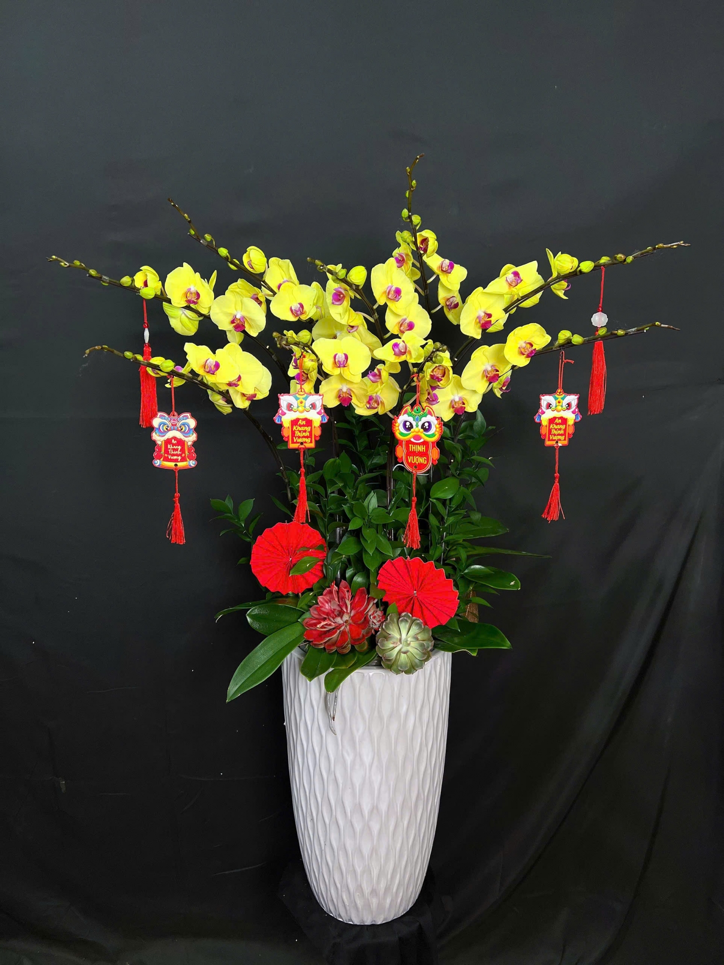 Lan Hồ Điệp Kim Ngọc Phú Quý - LHD280