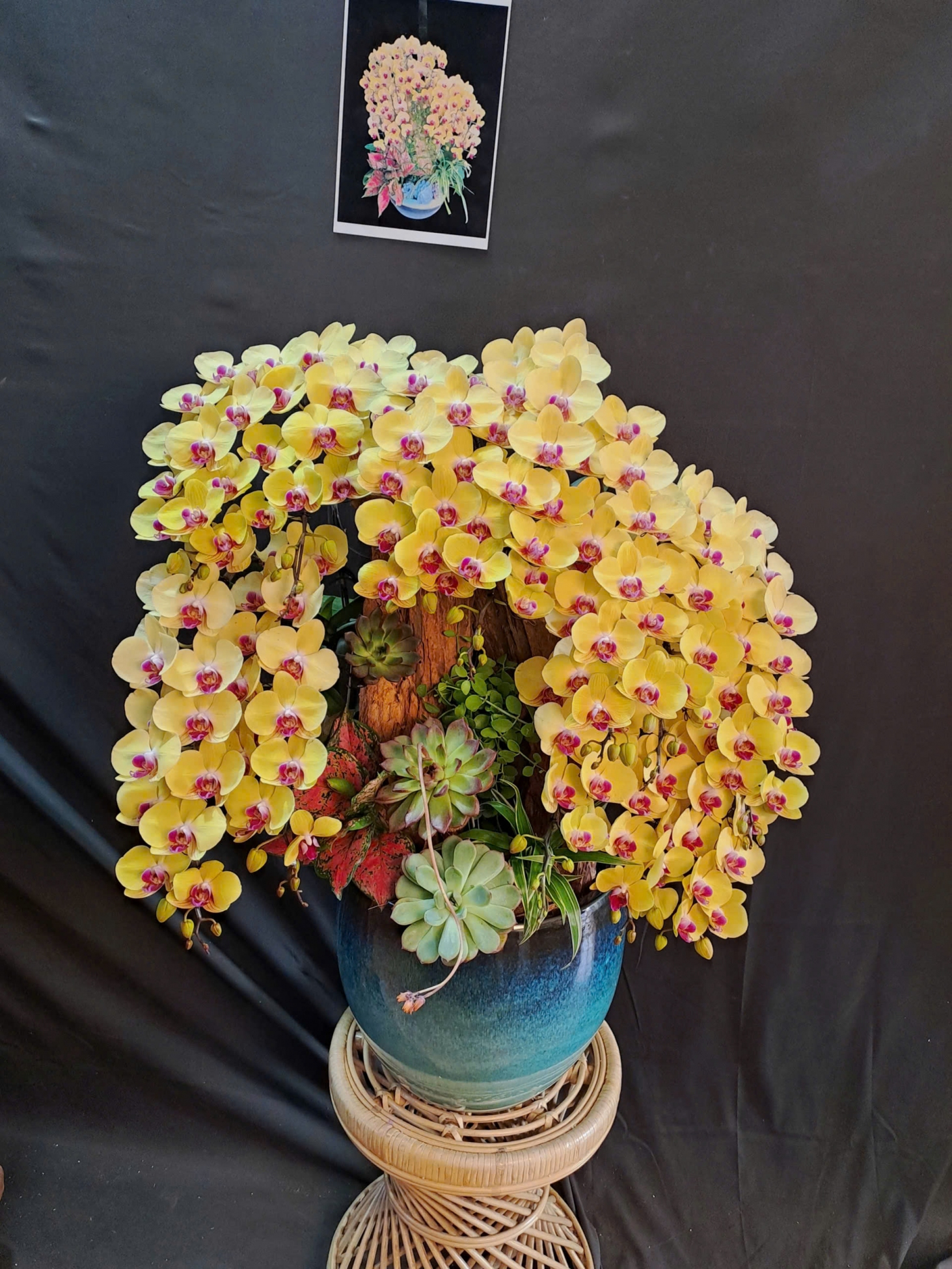 Lan Hồ Điệp Vàng Cắm Lũa Cao Cấp - LHD423